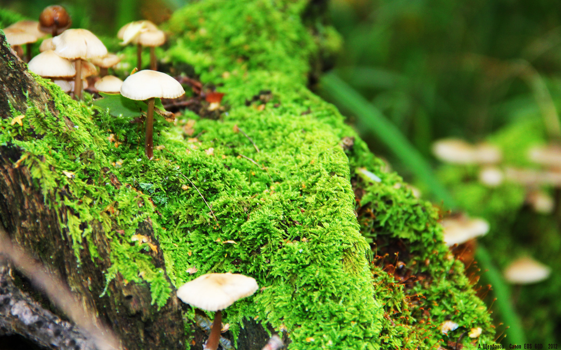 新闻中心AI赋能产业发展论坛举办,ai赋能媒体