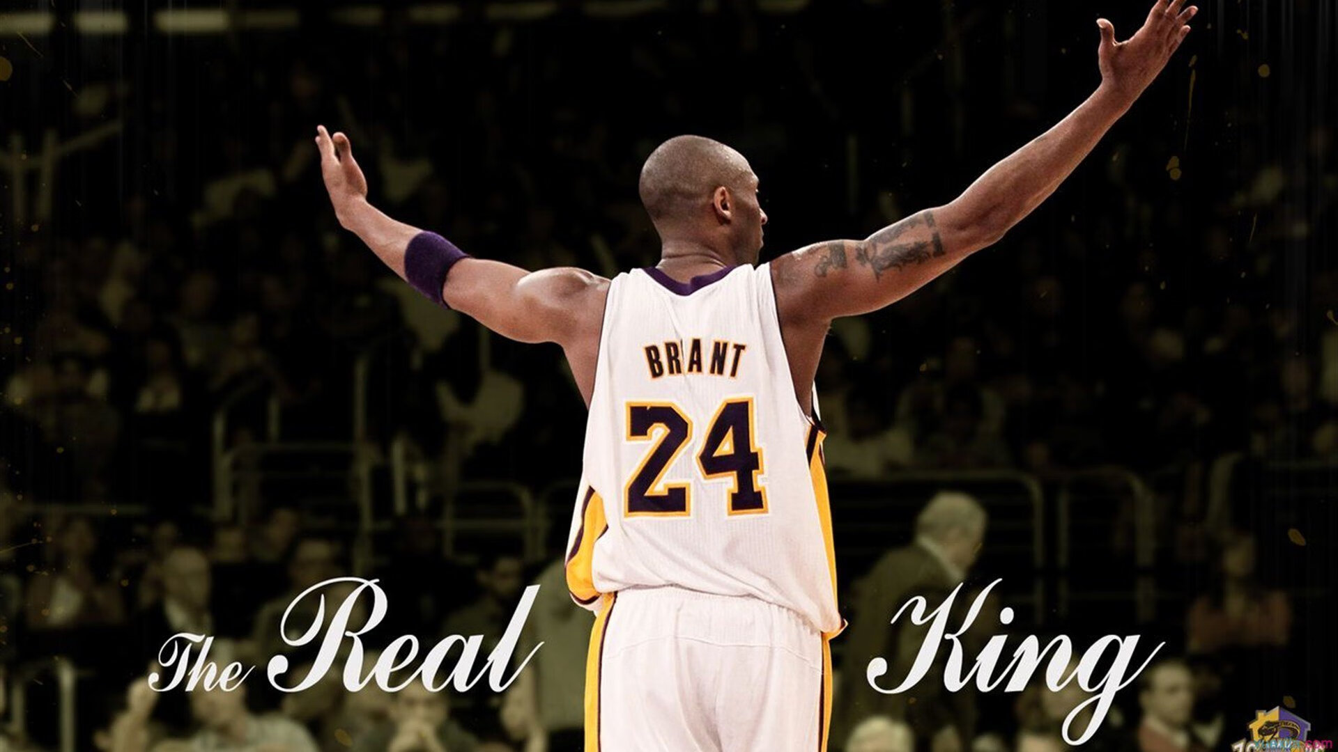 “埃尔斯·霍斯特的非凡防守,南非羚羊队更具竞争力”