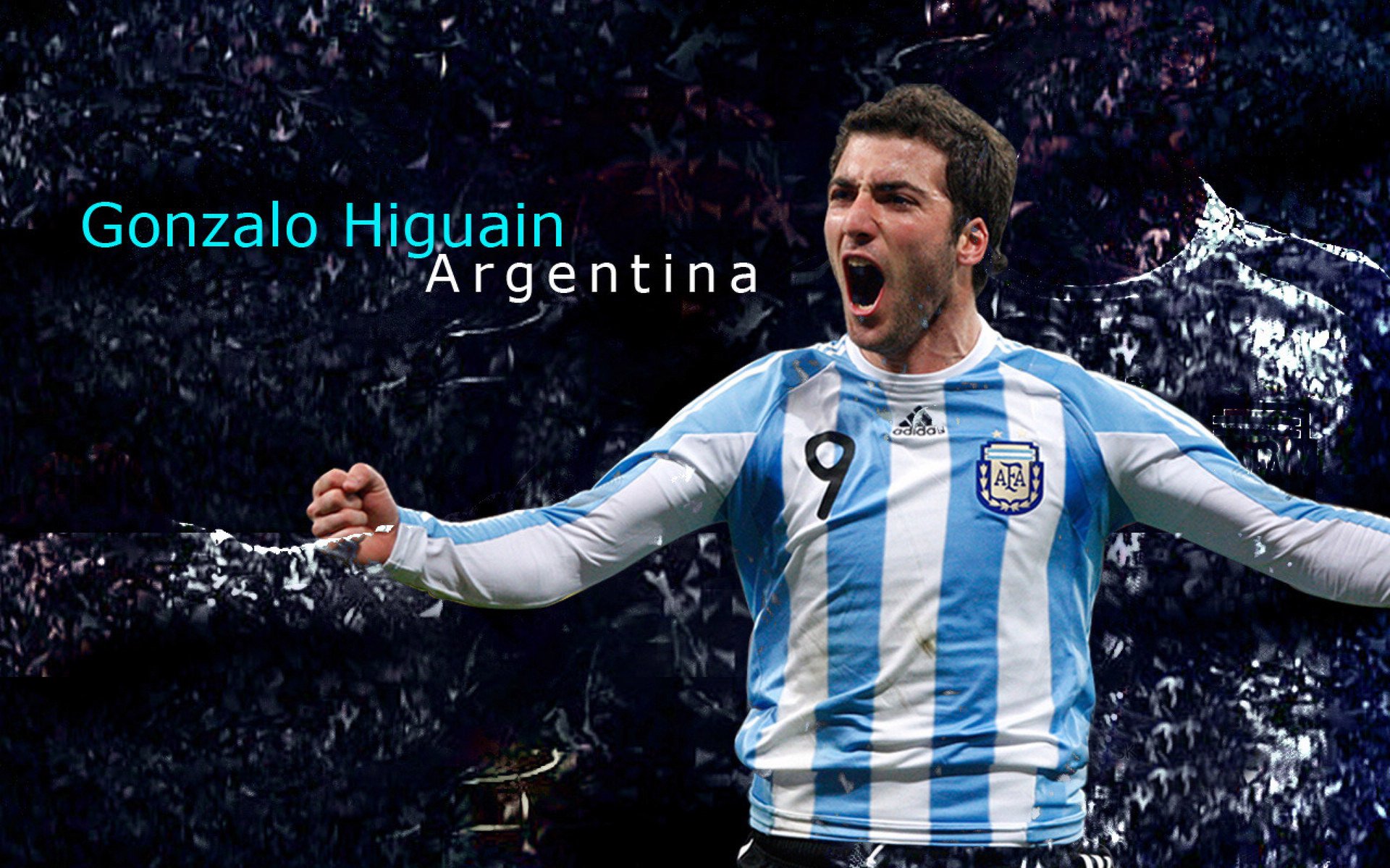 “埃尔斯·霍斯特:南非羚羊队的守护神”